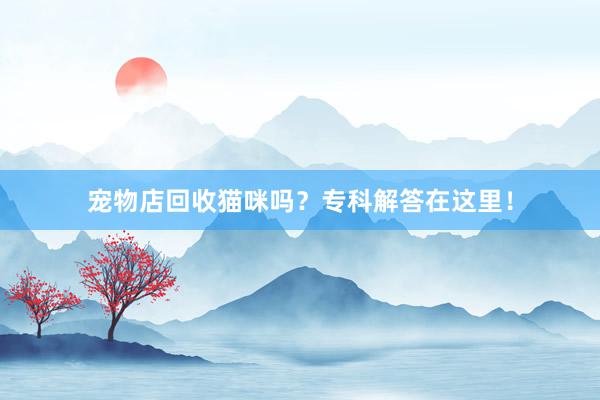 宠物店回收猫咪吗？专科解答在这里！
