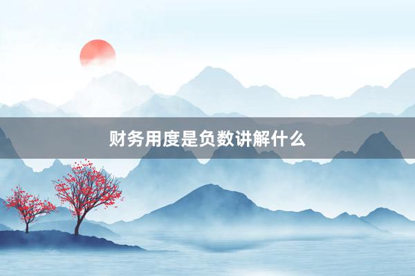 财务用度是负数讲解什么
