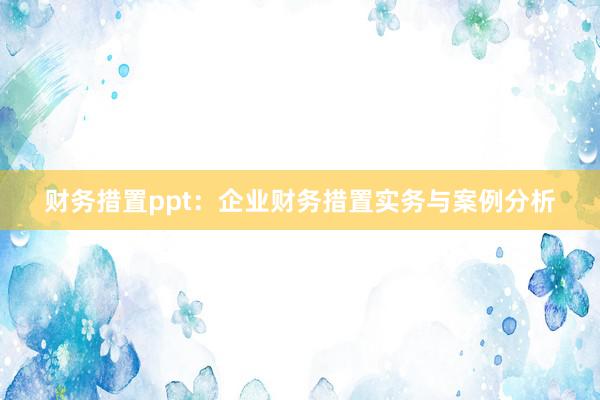 财务措置ppt：企业财务措置实务与案例分析