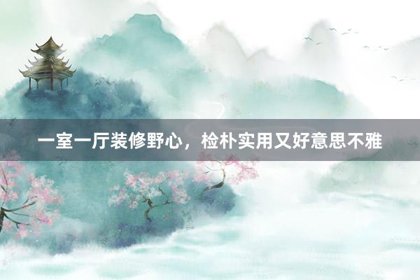 一室一厅装修野心，检朴实用又好意思不雅